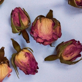 Pink Rose Buds - Dried