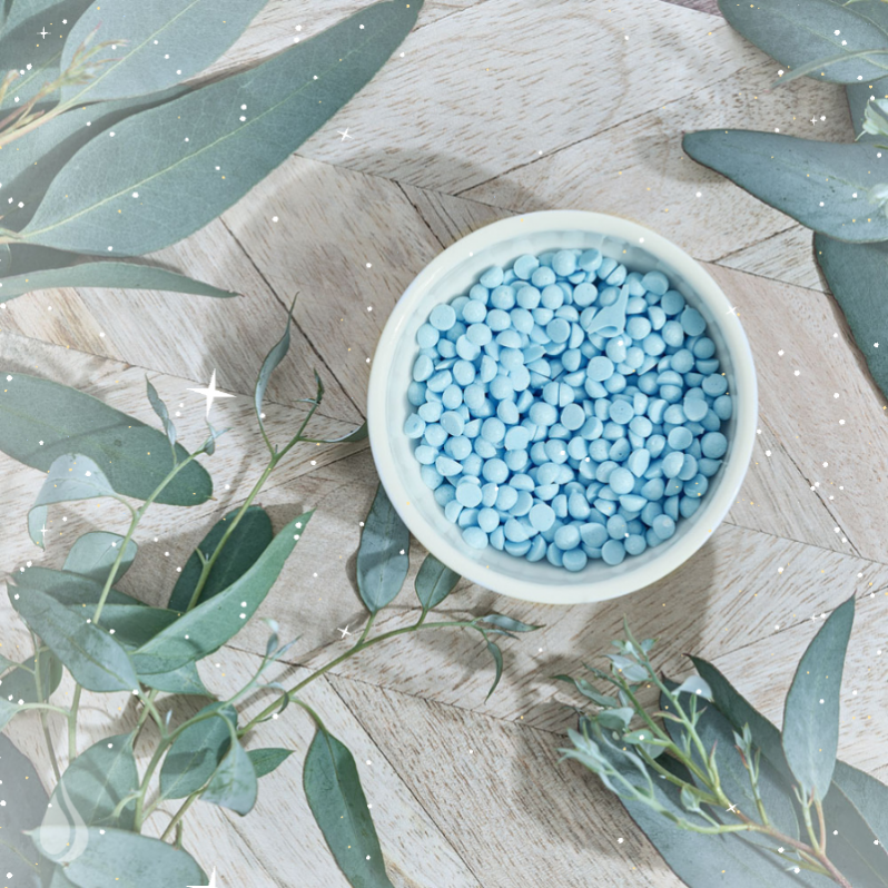 Frosted Eucalyptus Fragrance