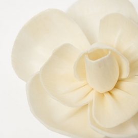 Flower Diffuser Reed - Camellia Close Up