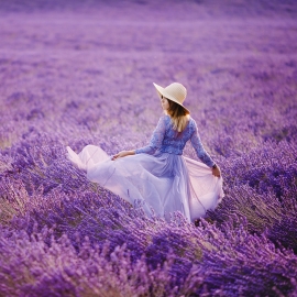 Lavender Breeze ZoFlo Fragrance