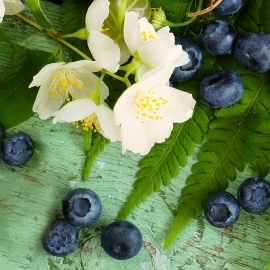 Blueberry & Jasmine Fragrance