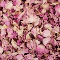 Rose Petals - Pale Pink - Close Up