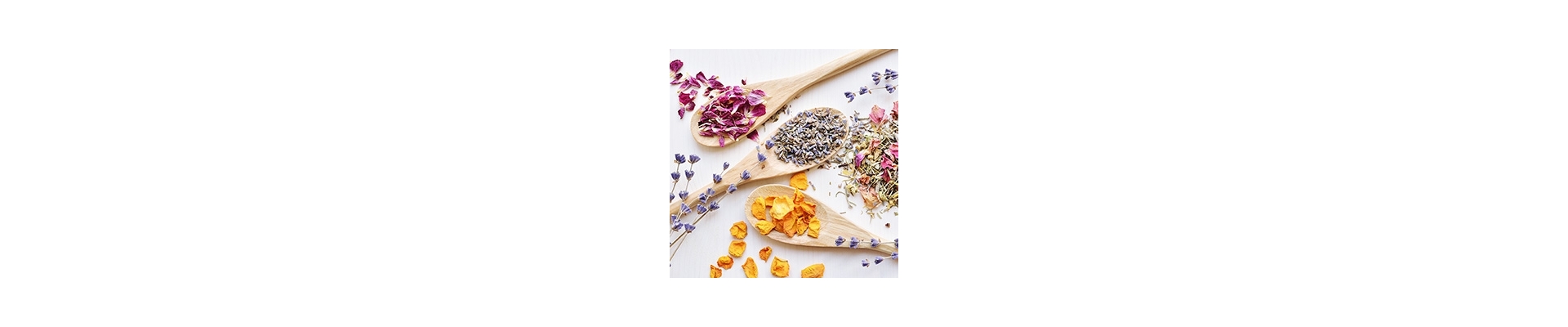 Botanicals for Cosmetics & Toiletries | The Soap Kitchen™