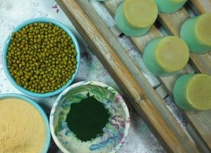 How To Make Natural Irish Moss Shower Jellies