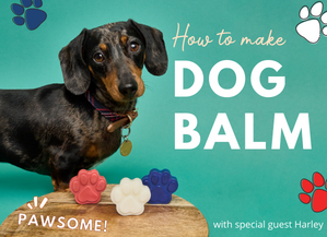How To Make A Dog Balm